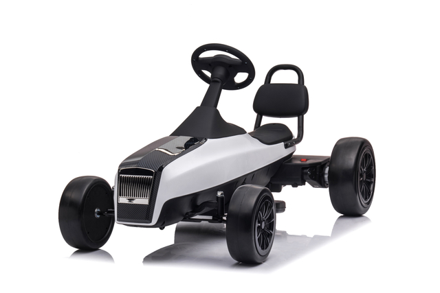 24V Dual Motors Children Electric Go Karts