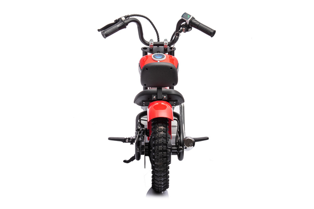 Motocicletta elettrica per bambini personalizzata da 24 Volt per ragazzi