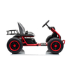 36V &Ccedil;ift Motorlu &Ccedil;elik &Ccedil;er&ccedil;evede Pille &Ccedil;alışan S&uuml;r&uuml;ş Go Kart 